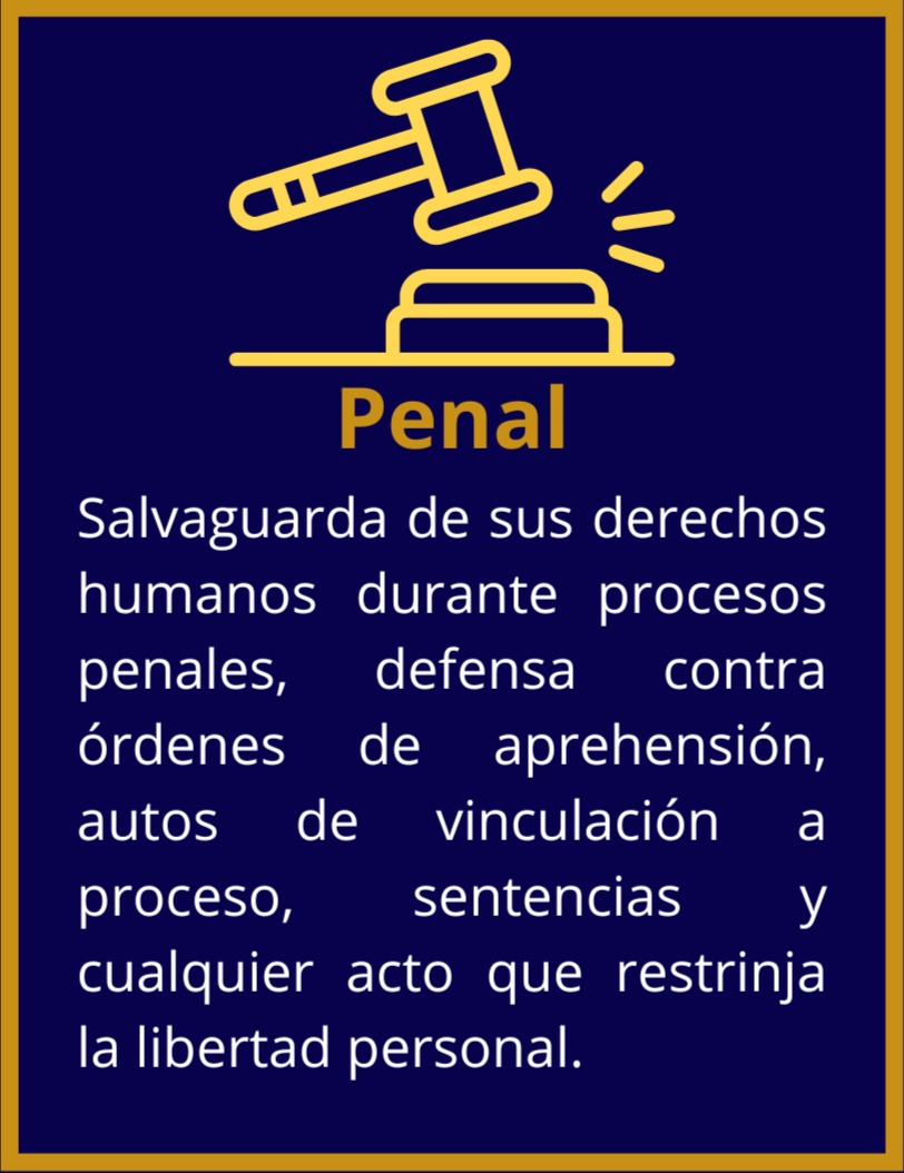 Servicio Penal